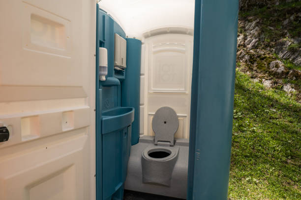 Best Porta potty rental for parties  in Croswell, MI